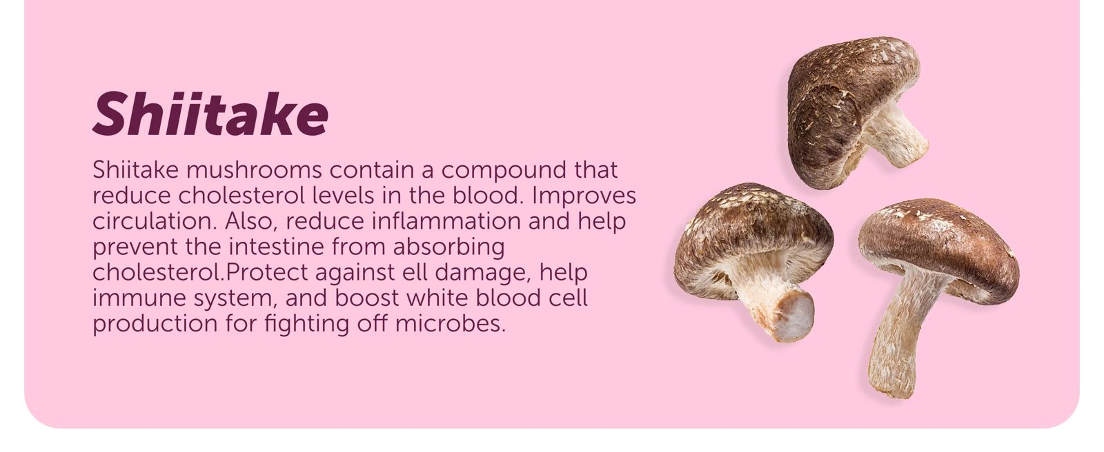 WhatsApp-Image-2026-01-28-at-1.44.17-PM-1